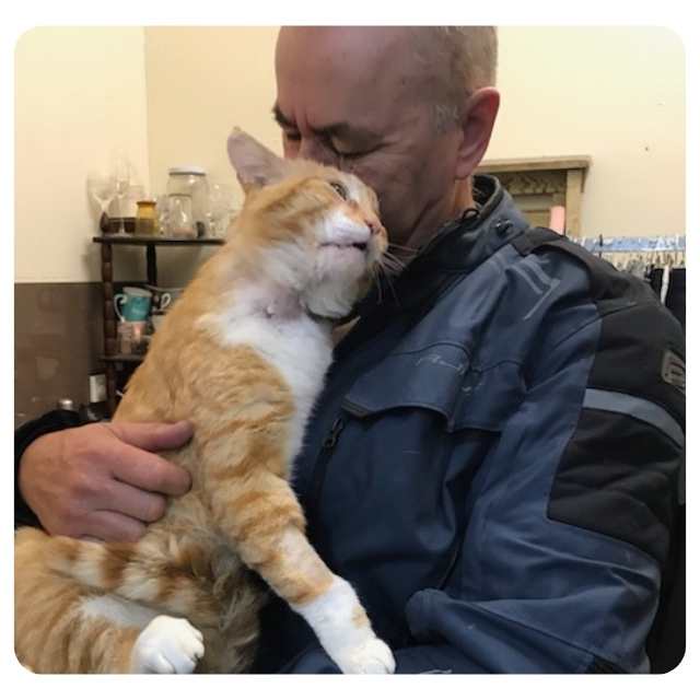 Rescue Cat Tom Tom in Need of help